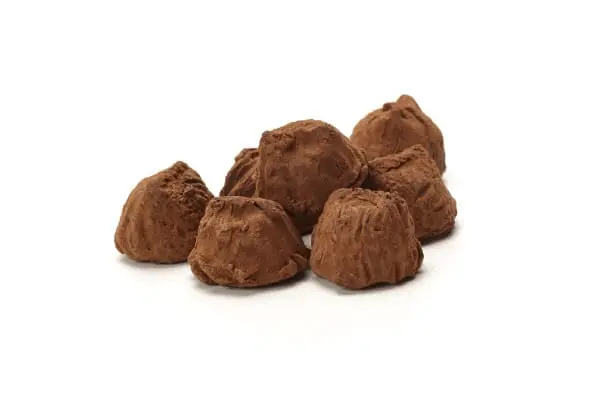 Cacaotruffels chocolade vulling